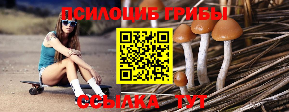 наркота  Галлюциногенные грибы Psilocybe  Вход с VPN  Норильск 