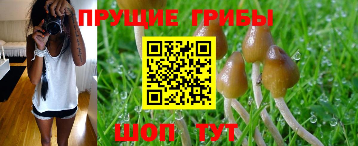 Галлюциногенные грибы MAGIC MUSHROOMS Норильск